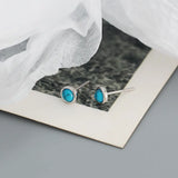 Japanese and Korean s925 Silver ins Niche Design High-grade Sense Geometric Round Agate Pine Stone Earrings Earrings TWINKLE QUEEN