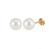 Freashwater Pearl 14K Gold Plated 925 Sterling Silver Perfect Round Pearl Earrings TQ