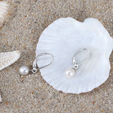 Cultured Freashwater Pearl 14K Gold Plated 925 Sterling Silver French D-shaped Buckle Earrings TQ